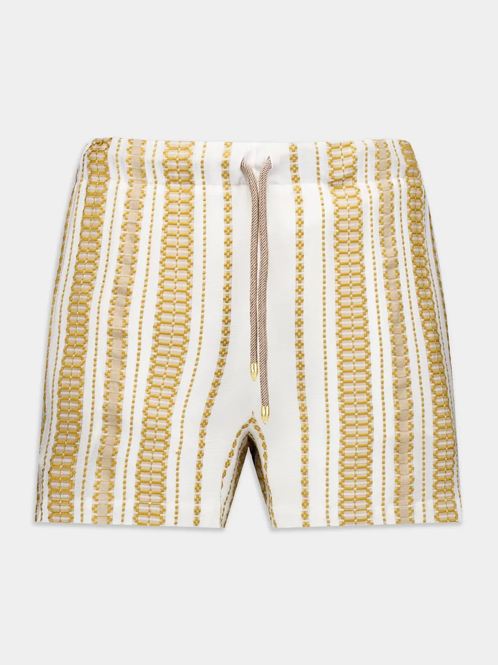Aelo Silk Shorts