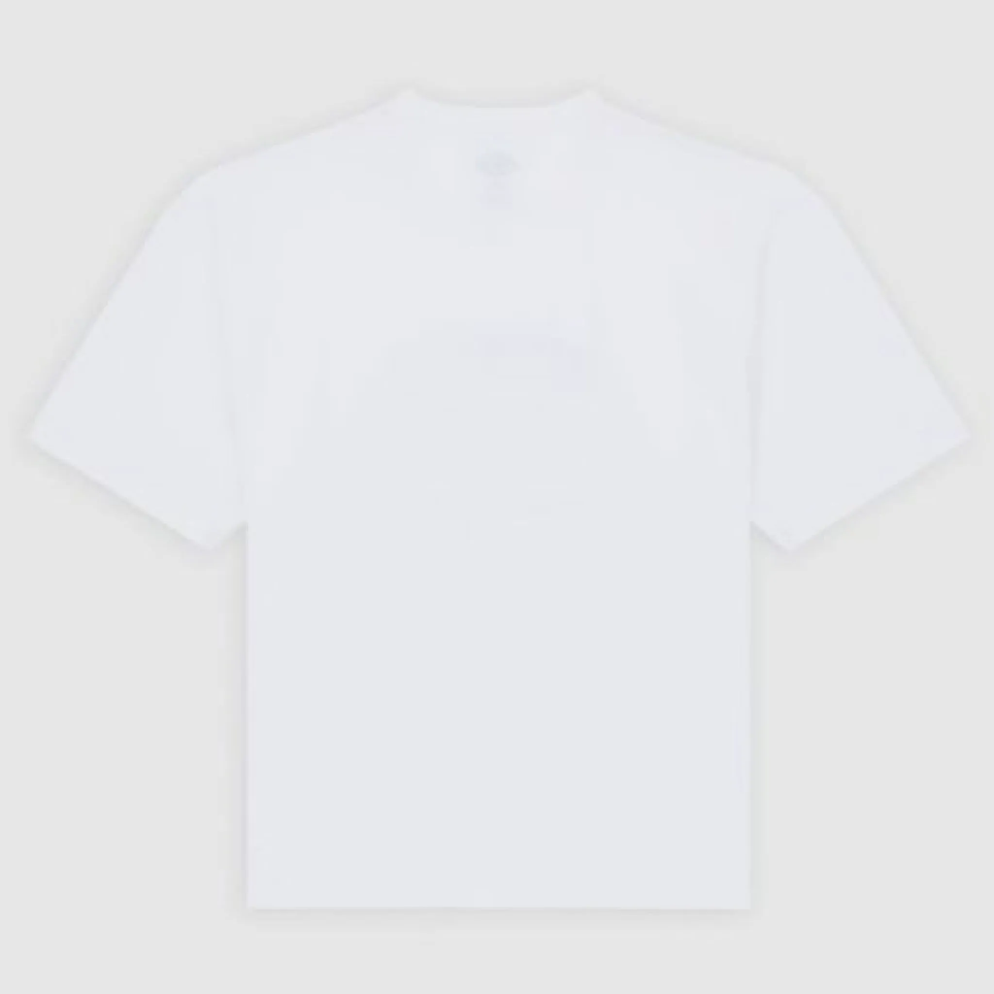 Dickies - Laundry Boxy T-shirt - White