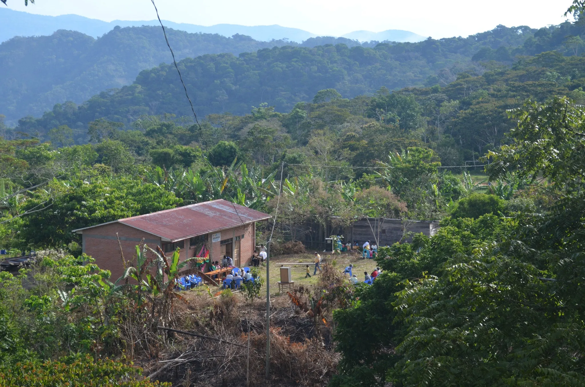 House Roast: 100% Bolivian. Certified Fair Trade & Organic (FTO) AA. NEW CROP!