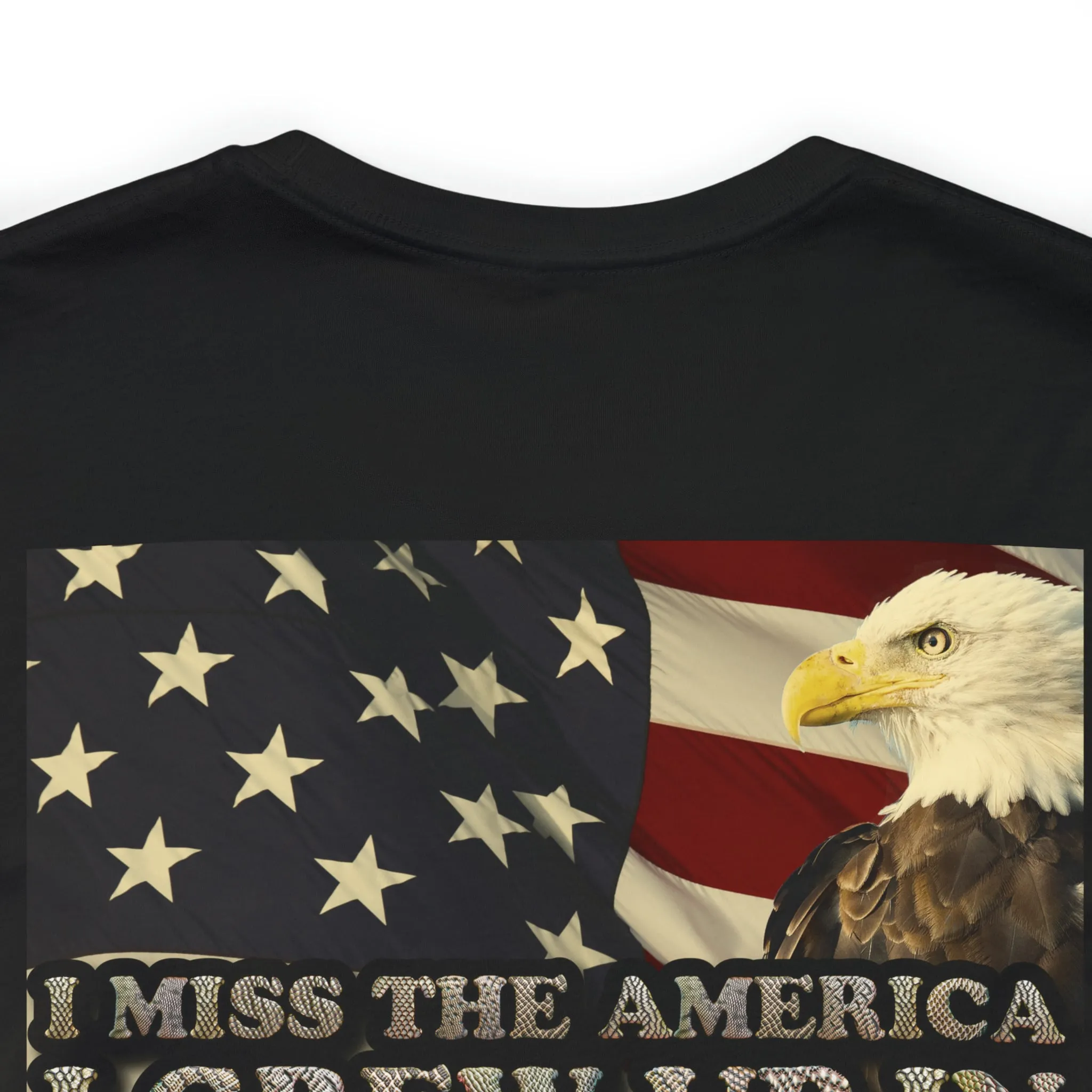 I Miss The America I grew Up In Short Sleeve Tee