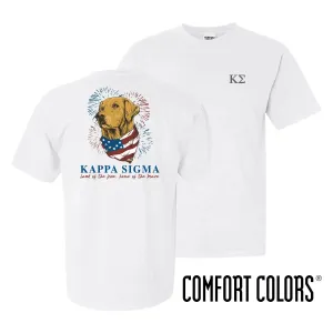 Kappa Sig USA Retriever Tee