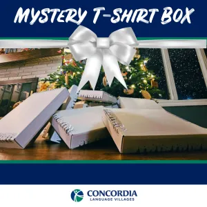 Mystery T-Shirt Box