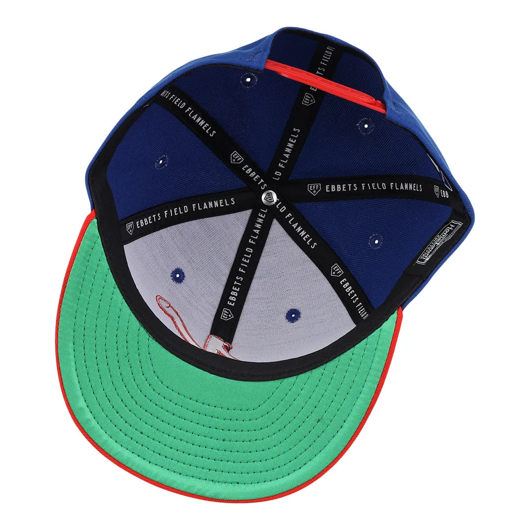 Nashville Sounds EFF MiLB Vintage Snapback