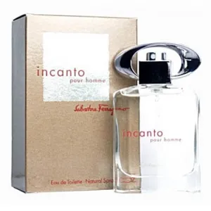 Salvatore Ferragamo Incanto Pour Homme Eau de Toilette 100ml