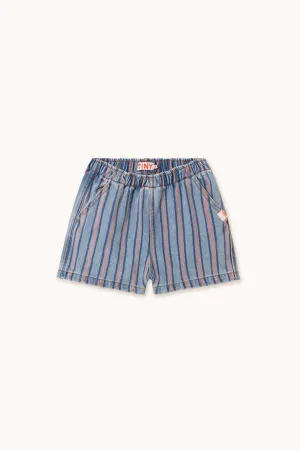 Stripes Multicolor Shorts