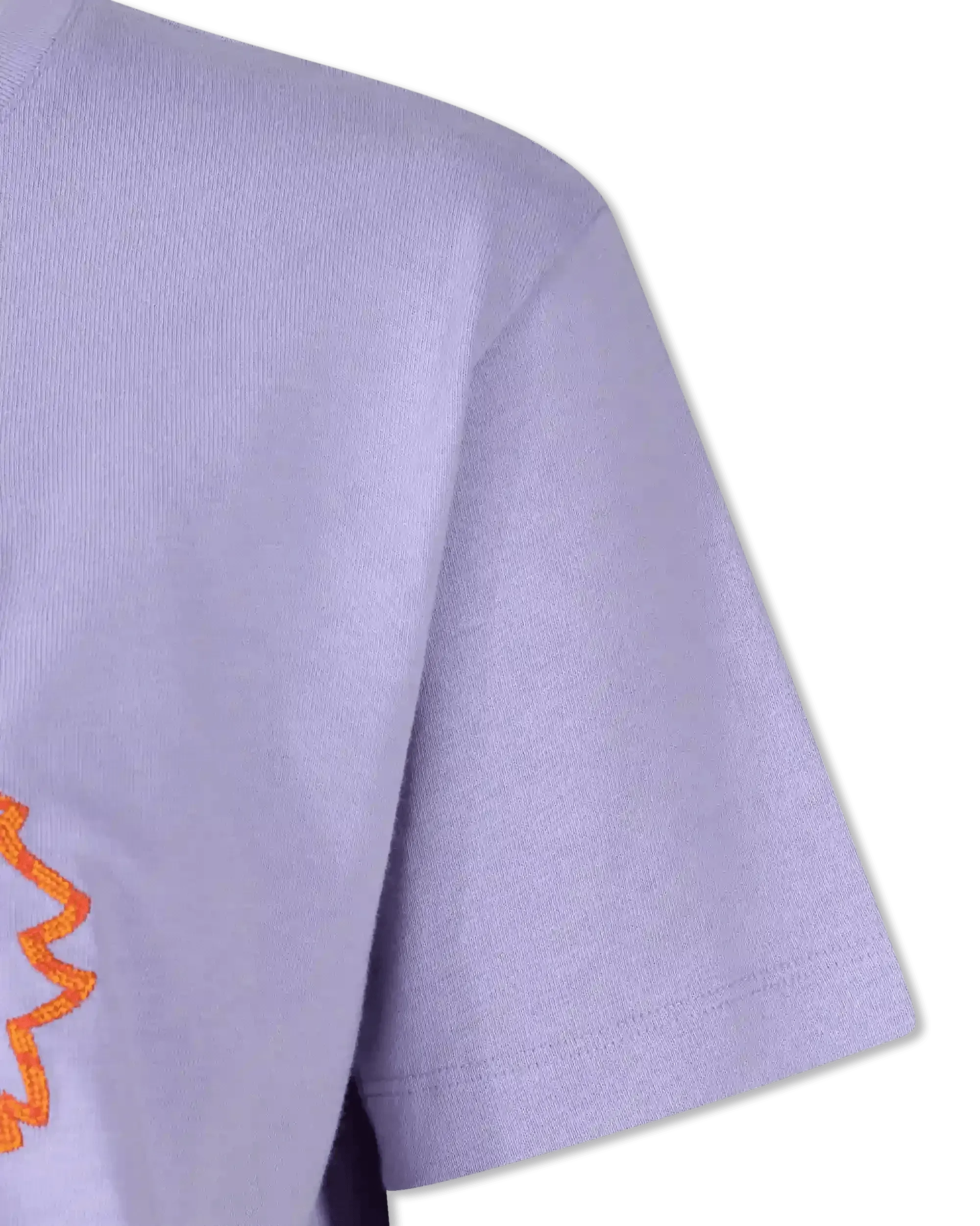 Tiger Seasonal Loose T-Shirt